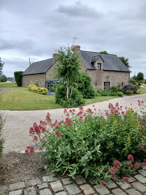 La longère en pierre et sa véranda bleue vues depuis un massif de valérianes rouges