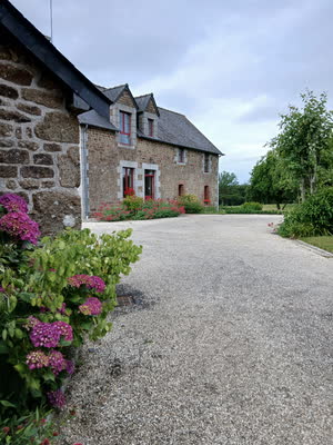 La cour gravillonnée devant la longère, avec des hortensias violets au premier plan