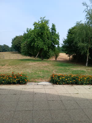 Le jardin à l'arrière du gîte et ses pommiers, à l'ombre desquels pique-niquer